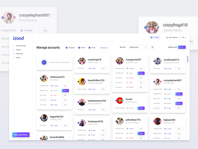 Accounts manager account dashboad interface manage manager smm socialmedia ui ux web design