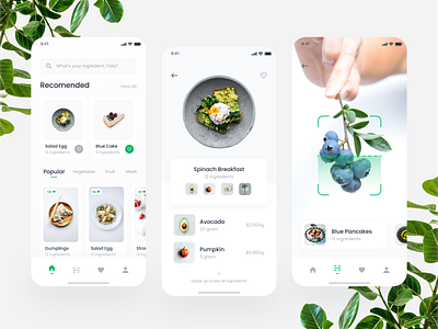 Cooking Mobile App Exploration cake card chef clean cook cooking app food food app fruit green ingredients leaf mobile navbar recipe scan scanner startup ui design vegetable