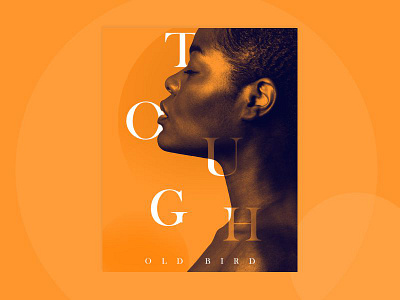 " Tough Old Bird " freshcolour graphicdesign illustraion instagram instagram post lady orange orangeisnewblack photomanipulation photoshop typogaphy typography art wallart women women empowerment