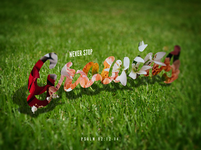 Never Stop Growing daily faith flowers growing typography verse