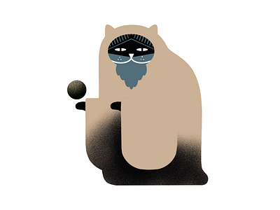 Fortune teller | MAFIA THE CAT animal cat design graphic illustration procreate