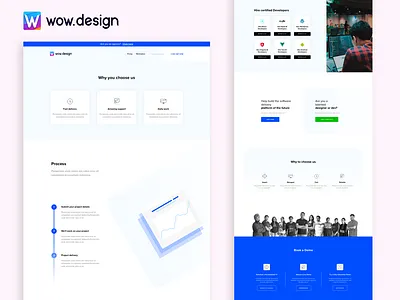 Hire a developer design developer hire us landing landingpage process slider team technology website whyus