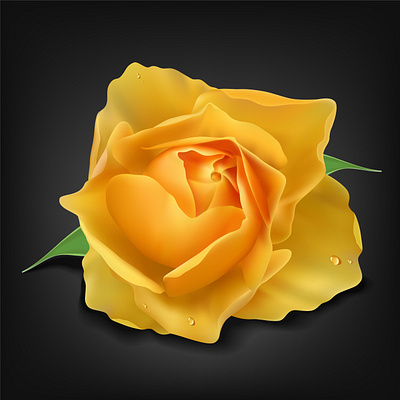 Realistic Yellow Rose Vector adobe illustrator beauty branding design flora floral flower gradient mesh illustration logo realistic rose rose gold vector yellow