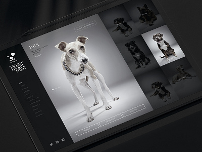 Talent For Hire advertising animal art direction charity design dog dubai graphic design gray grayscale photo responsive saatchi site studio ui ux web webdesign website