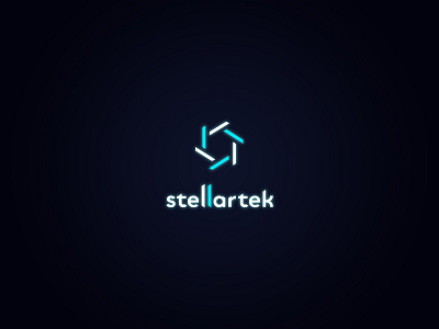 Logotype for StellarTak branding design illustration logo logodesign logotype minimal site ux