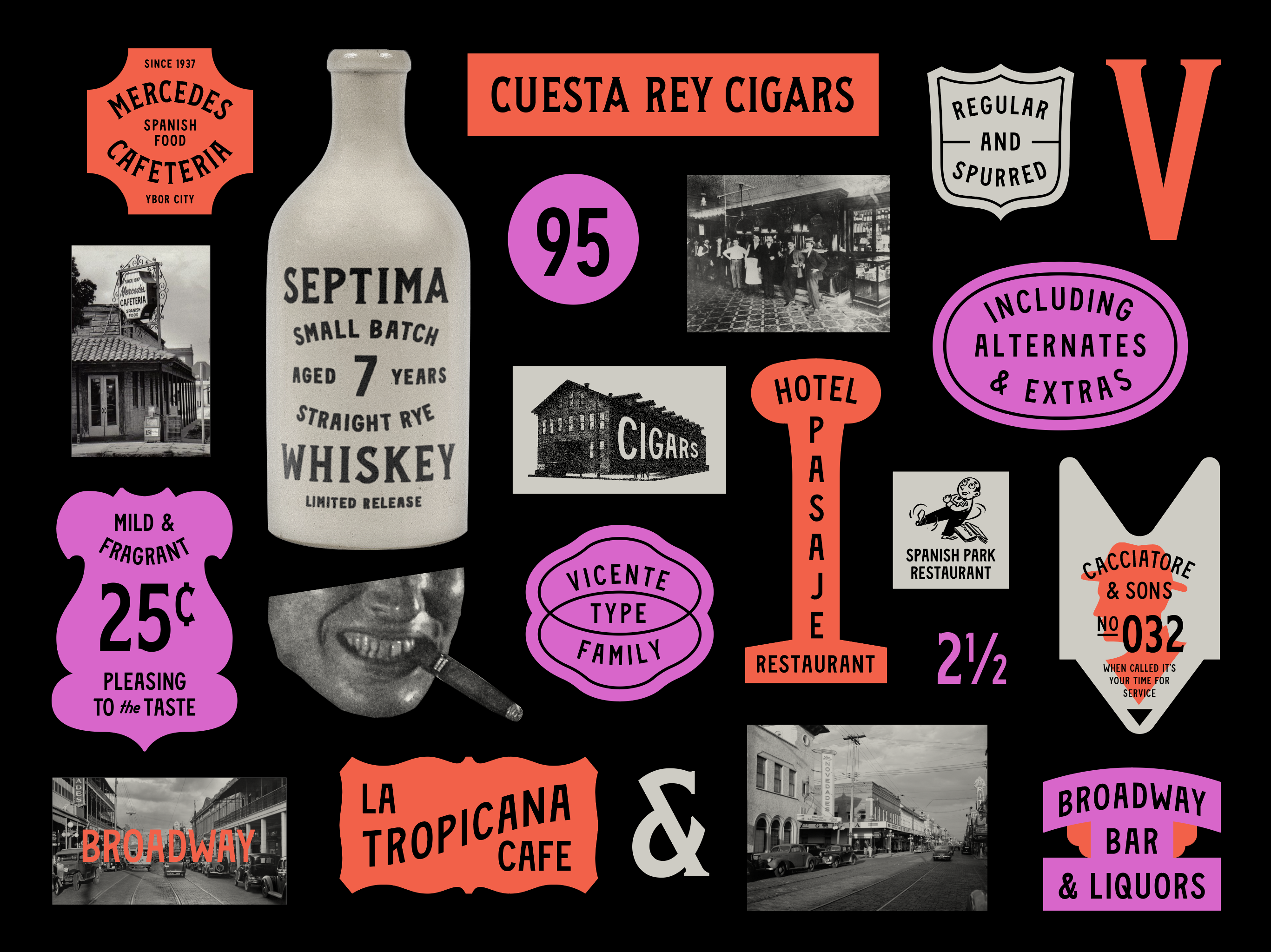 Example of Vicente Font Family