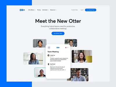 Otter.ai – Meet the New Otter animation landing light otter saas web webflow website