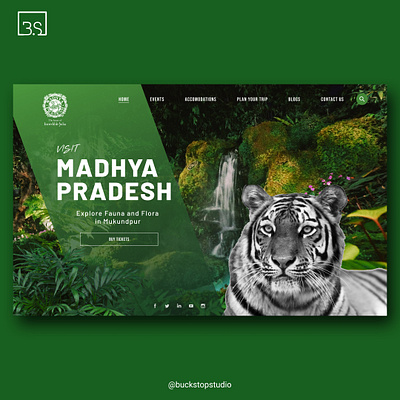 Wildlife Tourism Website app branding design illustrator ui ux web website