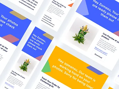 Email Template Design branding branding design email receipt email template web design