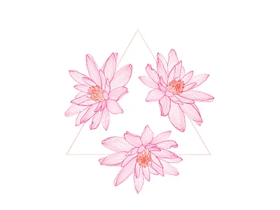 Victoria amazonica botanical botanical illustration brazilian digital illustration flower illustration procreate