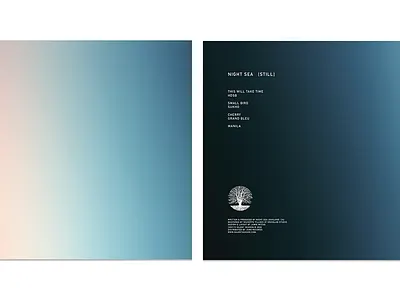 Record Sleeve Concept record vinyl