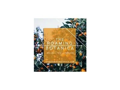 Digital Ad - The Roaming Botanica adobe adobe xd app art branding clean digital ads flat graphic design illustration instagram banner instagram post minimal typogaphy uiux ux visual design xd design