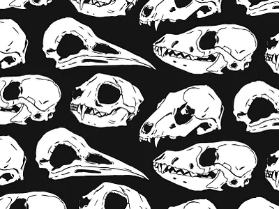 Animal Skulls black and white illustration pattern
