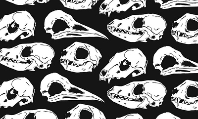 Animal Skulls black and white illustration pattern