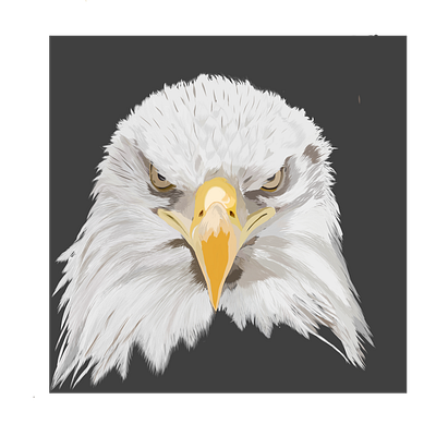 Bald Eagle design illustration