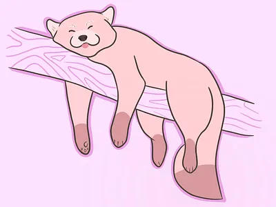 red panda animal cute doodle illustration panda pink procreate red panda