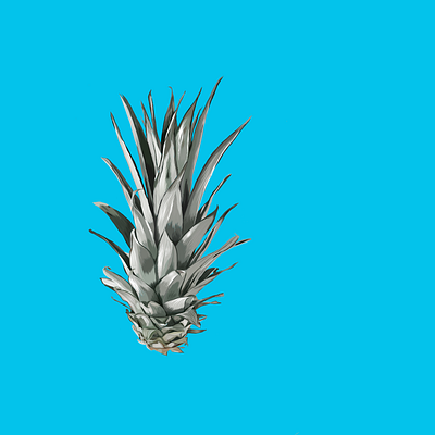 Pineapple design illustrator