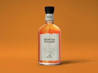 Product Design. brand identity branding branding agency designer liquor logo minimal package design popular product product design product page products