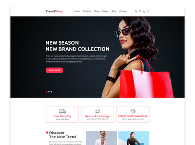 E commerce website landing page developer e commerce website graphic design landing page ui ui design ui designer uiux user inteface web design web design web designer web development web ui website website builder wordpress theme
