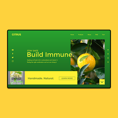 Citrus Website Concept design ui web website