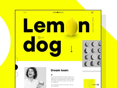 Developers website coding design hero ui web