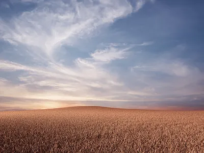 Diorama 06 art direction branding concept art concept visual creative direction design digital illustration graphic art illustration print