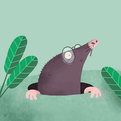 Mole animals childrens book illustration mole