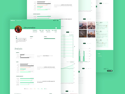 valiu.me Instagram Analisys Tool analytics instagram php profile page sql ui uiux ux website website design