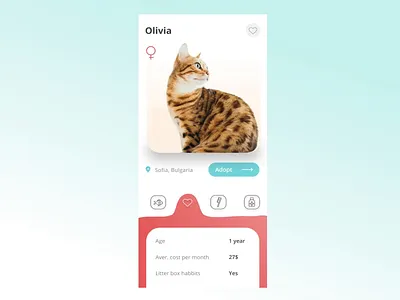 Pets Adoption App adoption after effects ae motion aftereffects animals animation cat fluid gradient colors interaction mobile mobile app motion navigation pets product design ux