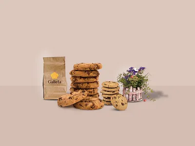 Galleta | Branding animation app art branding design illustration illustrator logo type typography