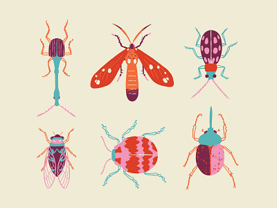 Bugs bugs fun illustration insects nature practice vector