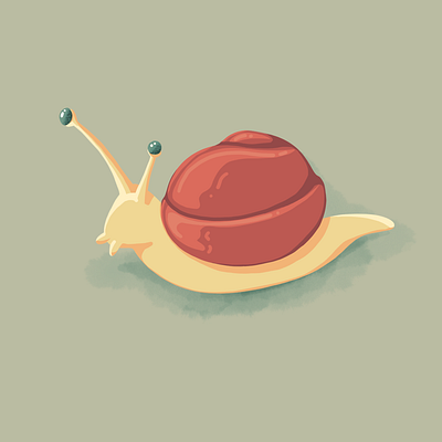 Snail animal animal art animal illustration illustration procreate simple snail