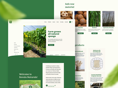 Revala Homepage homepage landing page natural product ui user interface web design website