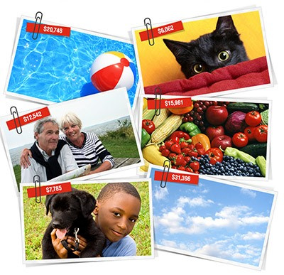 Earn Money for your Pics animation design earn free freedom icon illustration illustrator money