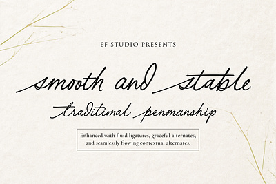 Smooth and Stable - Traditional Penmanship journal font