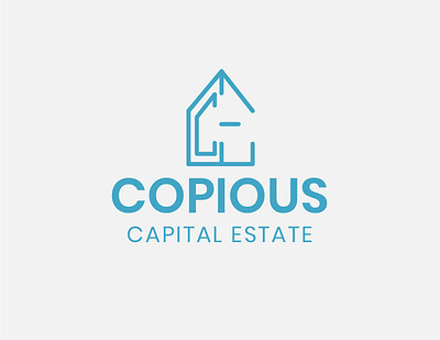 copious estate 02 02 branding design flat flat design flat logo design logo minimal minimal logo