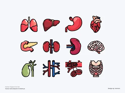 Human Organs Icon Set body part color line hospital human organs icon illustration medical outline science symbol vector