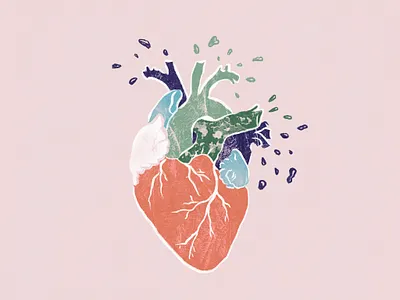 a heart apart drawing heart illustration procreate