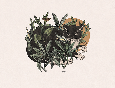 Buba cat collage illustration plants