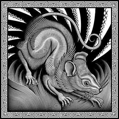 "Year of the Rat" illustration black and white illustration illustrations logo logo design rat scratchboard vector vector art woodcut