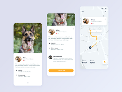 Aplicación para animales - Citas app app design colors concept diseño ui uidesign ux uxdesign visual design