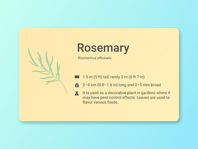 Daily UI 6 - Profile daily ui 006 daily ui challenge dailyui herb profile profile card