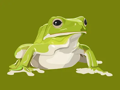 练习 illustrator sketch