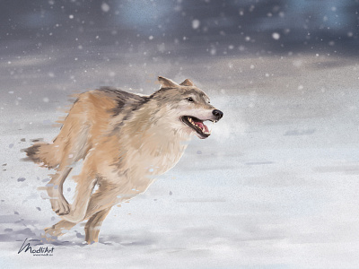 Wolf animal animals art artwork book chase cover design digital art dog illustration landscape painting photoshop run running snow wildlife winter wolf
