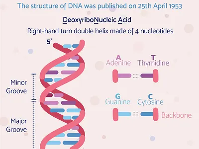 200424 DNADay biology dna flat illustration illustration sciart science scienceart vector