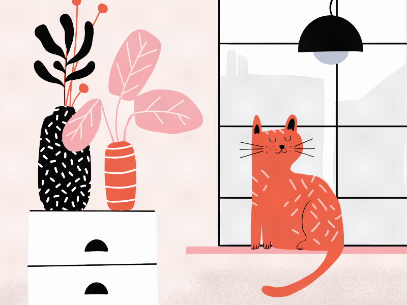 cat animation cat cute animal illustration