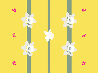 daffodils in stripes creamy daffodil pink yellow