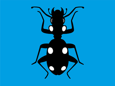 Beetle - Anthia Sexmaculata beetle branding bugs closeup drawing graphic design icon illustrator insects nature sign vector