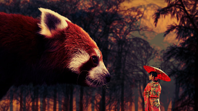 panda and girl design forest girl illustration panda photo manipulation pink web