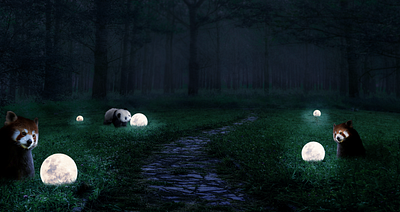 panda moon 12 forest girl illustration moon moonlight panda photo manipulation